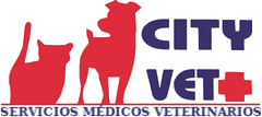 City Vet – Clínica Veterinaria