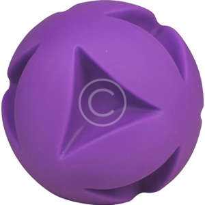 Ball Dog Toy