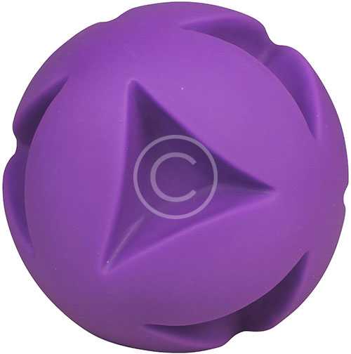 Ball Dog Toy